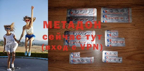 прущие грибы Рославль