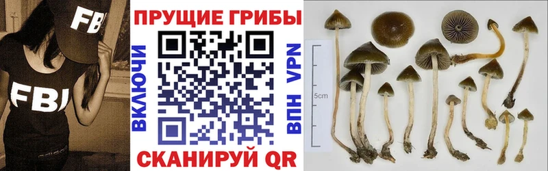 Псилоцибиновые грибы Magic Shrooms  купить наркотики цена  Павловск 