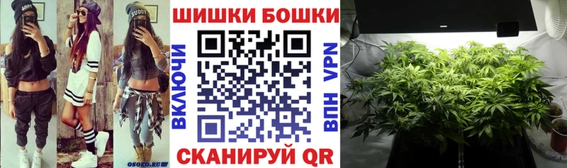 Бошки Шишки сатива Павловск